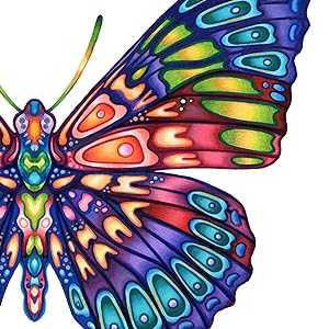 butterfly, illustration
