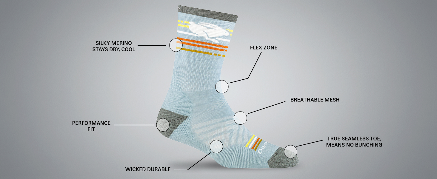 Darn Tough Socks women