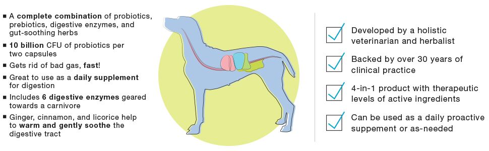 digestive care for dogs