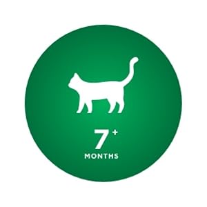 Do not use this product on cats younger than sen months old.