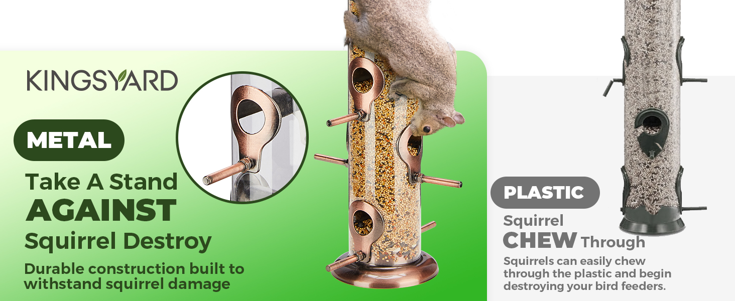 finch bird feeder