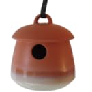 bird home return garden decor yard fairy lawn nature watch observe elements