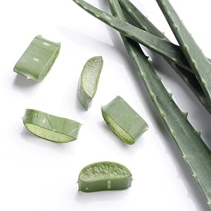 sliced aloe chunks next to aloe leaves