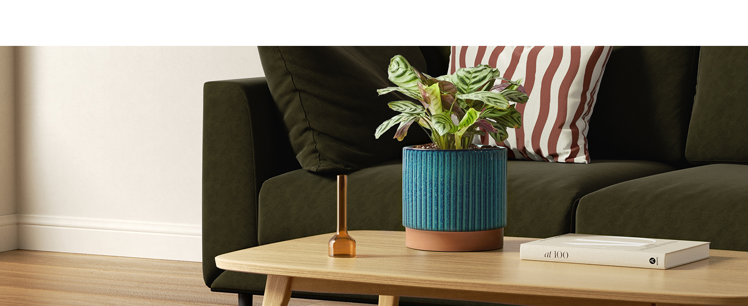 large planters