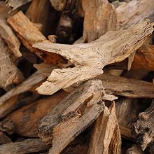 HINTS of cedarwood, sheer musk and sultry clove leave you curious and compelled.