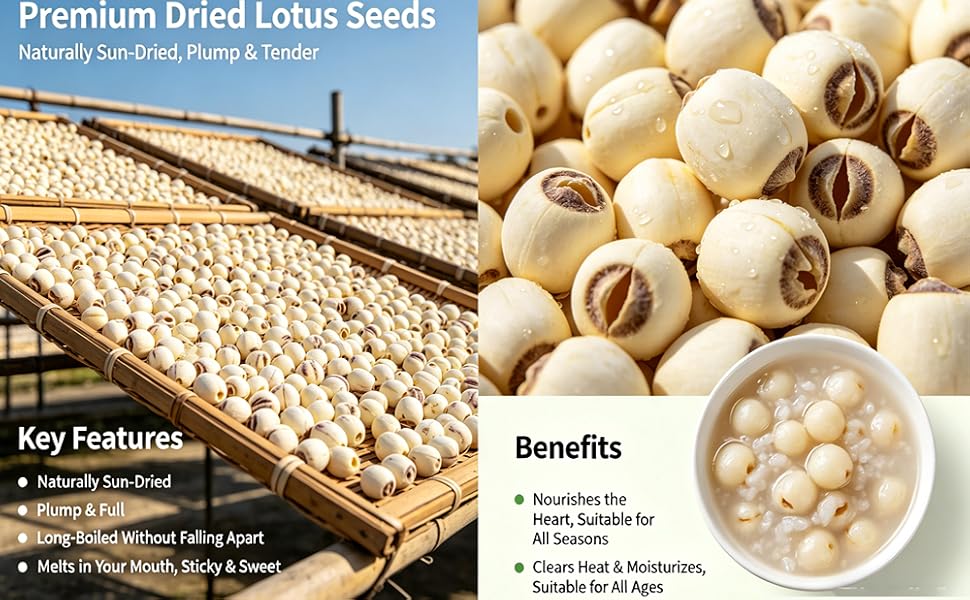 Dried Lotus Seeds, Dried White Lotus Seeds Lian ZI, Rich In Methionine
