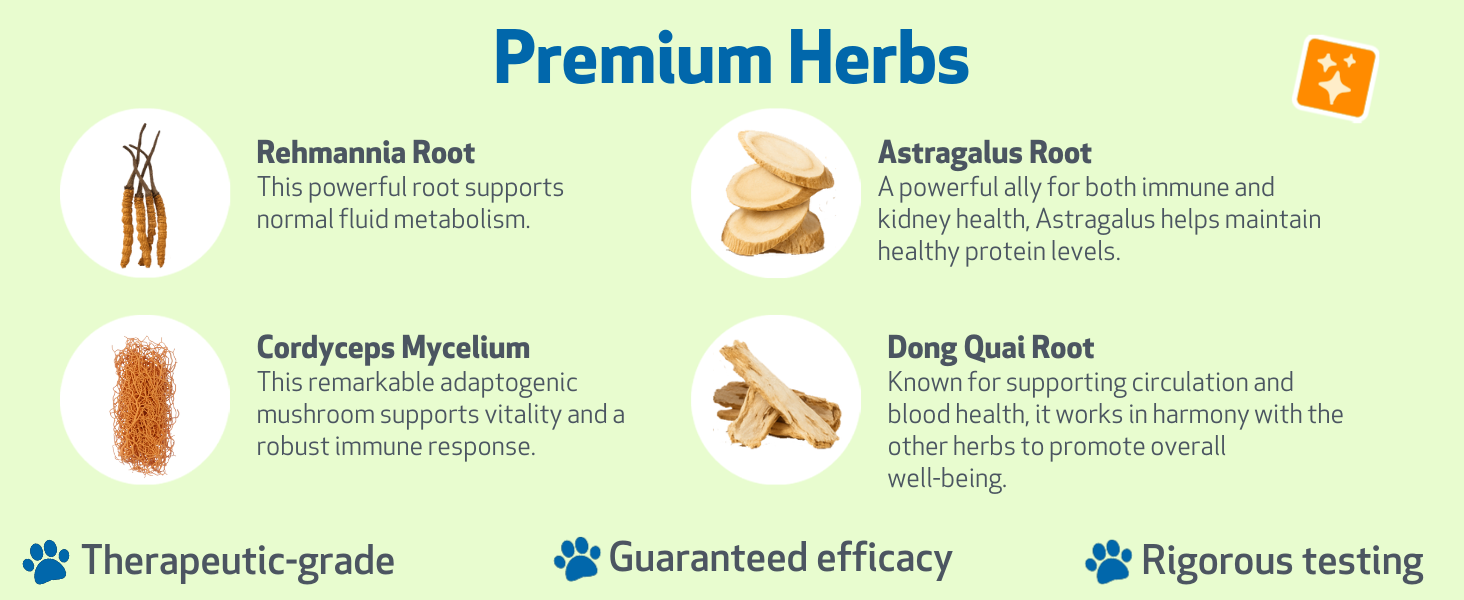 rehmannia root, cordyceps, astragalus, dong quai, kidney function, immune support, kidney disease