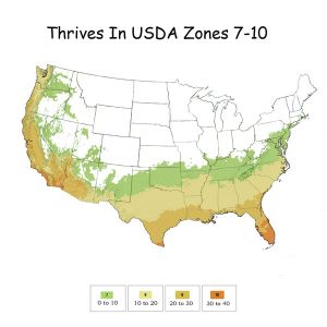 Growing Zones