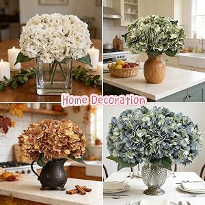 home decoration