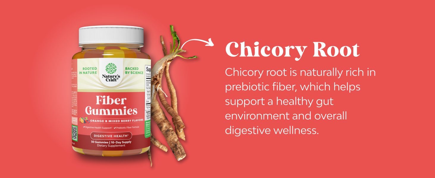 Chicory root