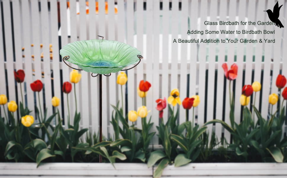 bird bath