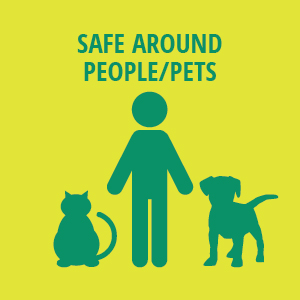 Safe Around People and Pets