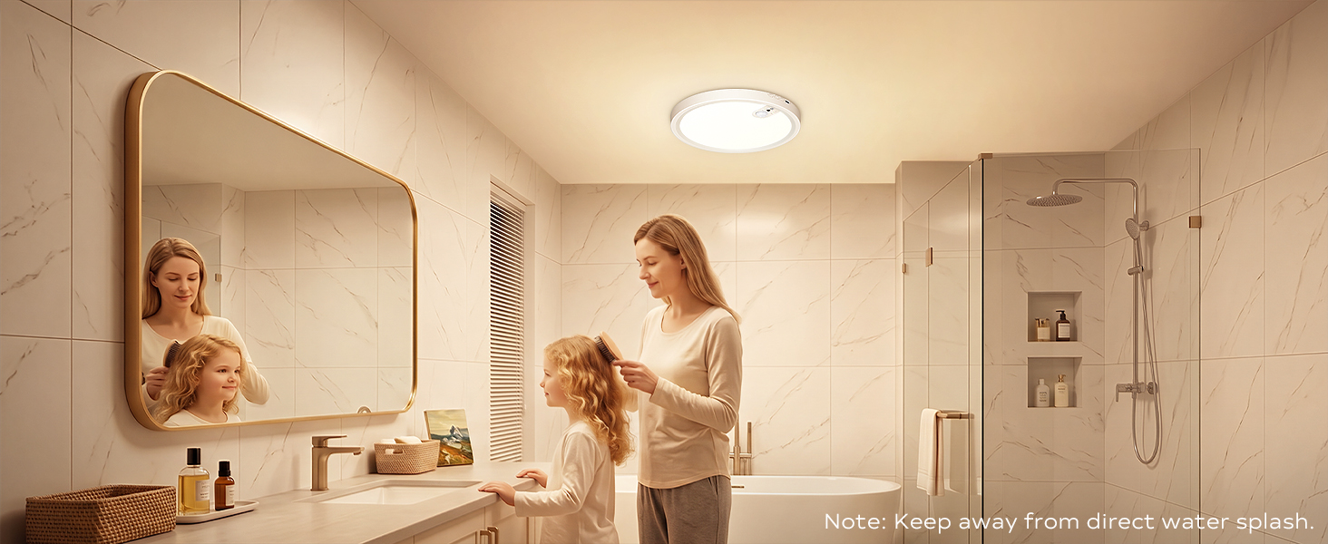 battery operated ceiling light
