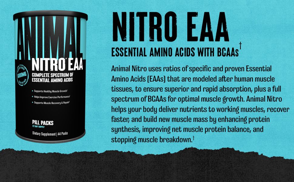 new nitro
