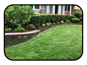a healthy, green front lawn