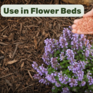 granules use in flower beds