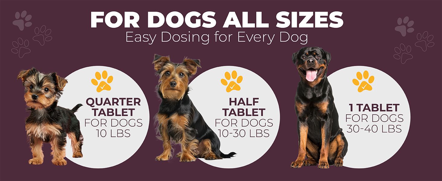 Dog Digestive Support Probiotic Chews for Dogs Probiotic Tablets for Dogs