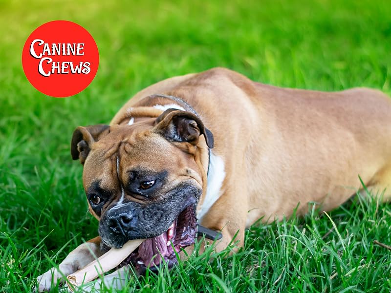 canine chews rawhide retriever rolls bones natural beefhide beef hide dog treat treats long lasting