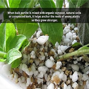 Perlite Description