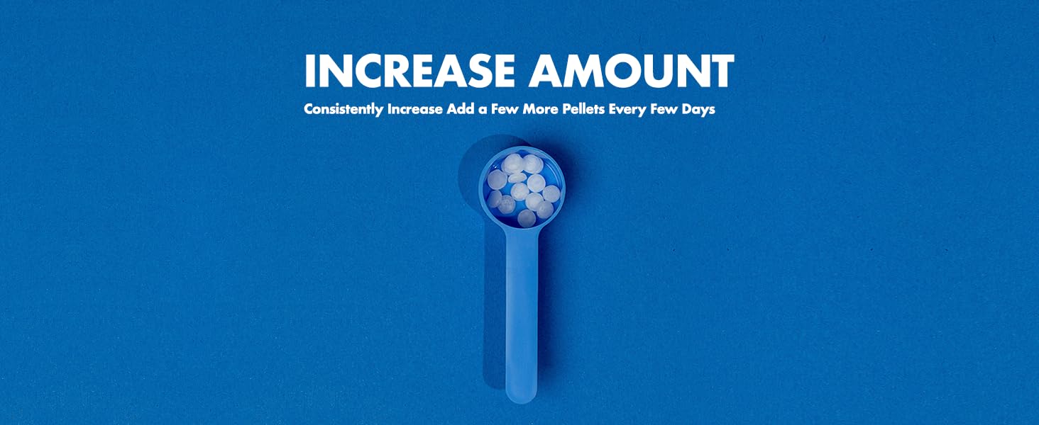 Increase Amount after a few days to a week to help improve immune system and gut function