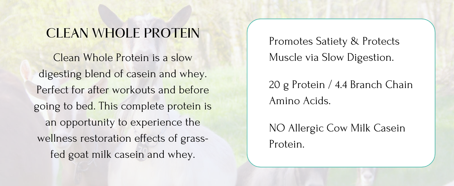 Clean Whole Protein