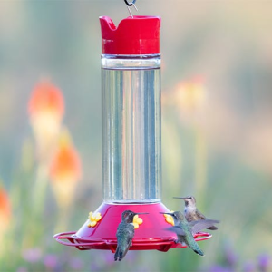Accommodates Multiple Birds