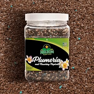 plumeria plant food