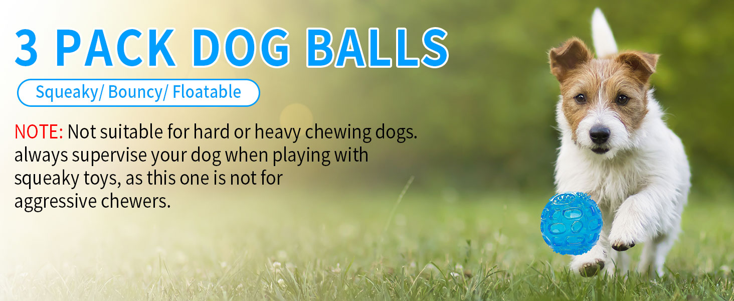 pet squeaky ball