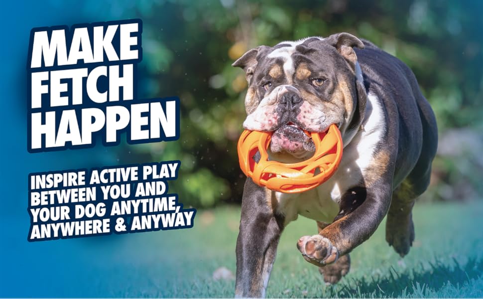 Make Fetch Happen Chuckit! Air Fetch Dog Toys