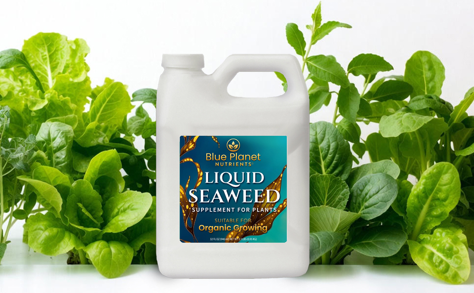 Blue Planet Liquid Seaweed fertilizer gallon bottle surrounded by lettuce