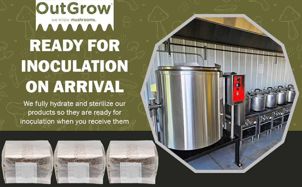 sterilized rye berry grain spawn bags next to sterilizers