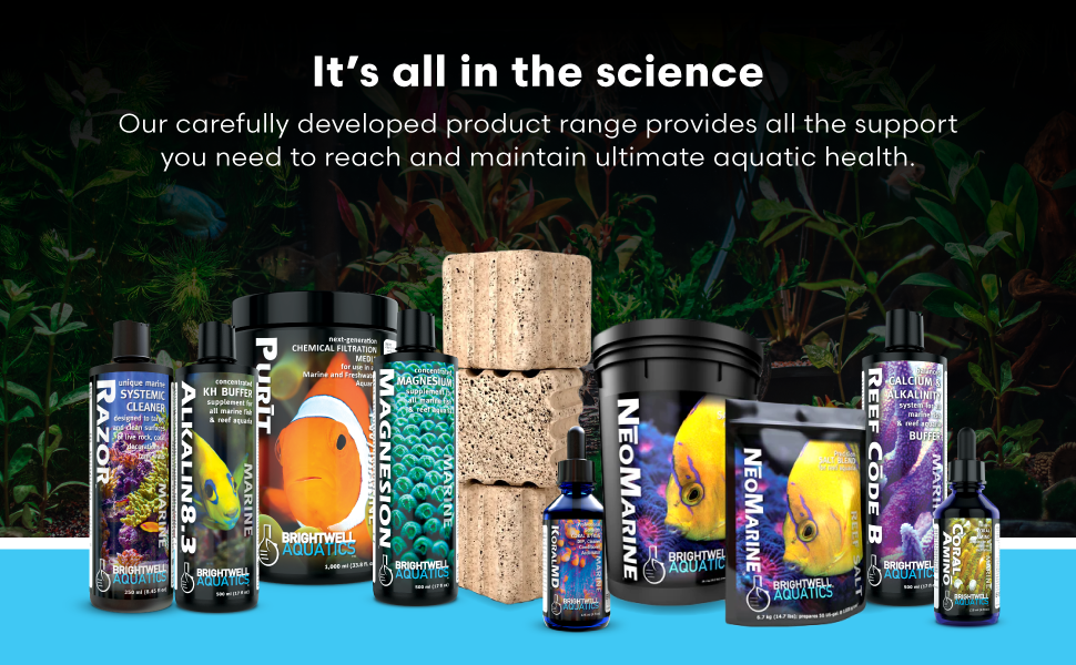 LPS SPS growth repair color coloration vitalizer pohl nourish fuel acropora sps seed
