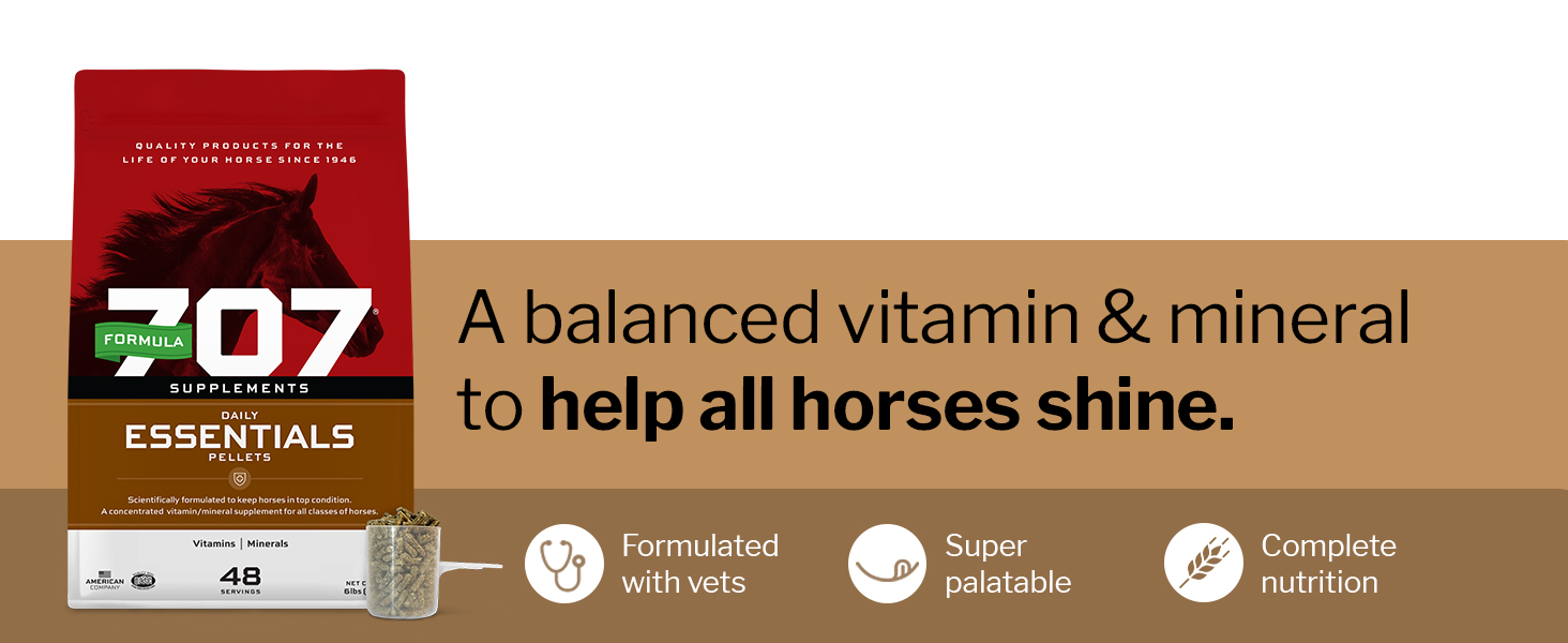 horse supplement vitamin mineral caballos