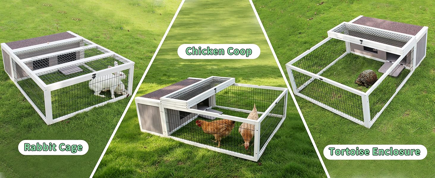 guinea pig cages