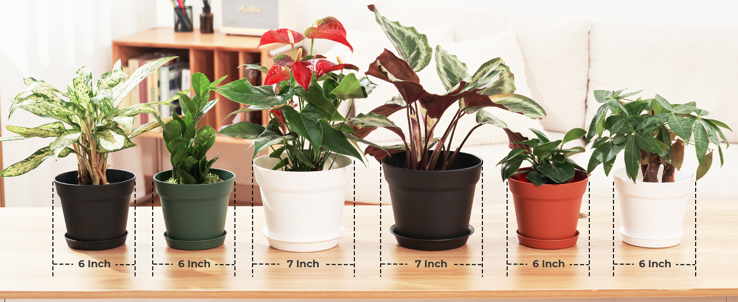 Pots for Plants