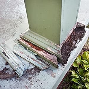 termite damage, termites, ants, carpenter ants, insect control, wood wasps, carpenter bees, TERRO
