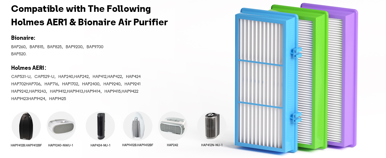 Aer1 Filter Replacement for Holmes