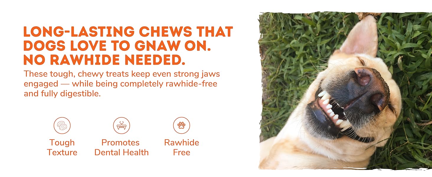 Dog chewing 100% sweet potato treat outdoors, grain-free natural snack with no additives