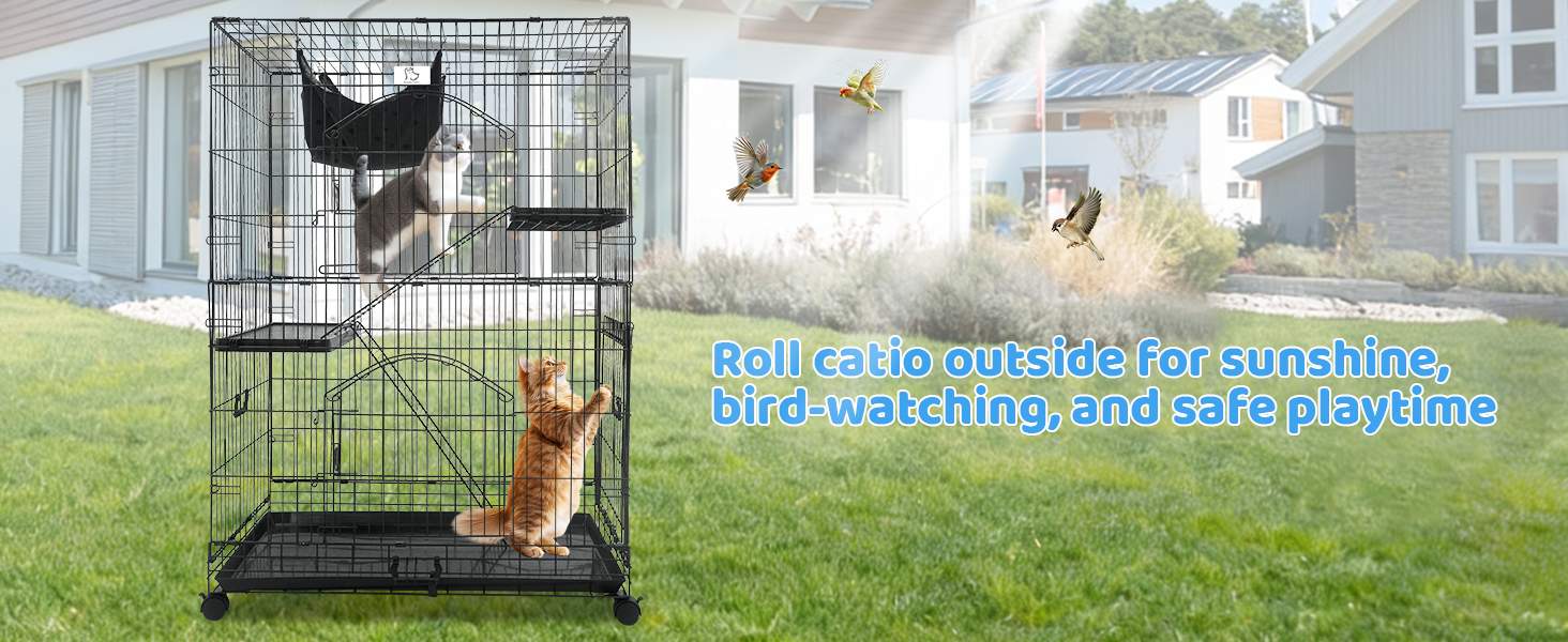 large catio, cat condo