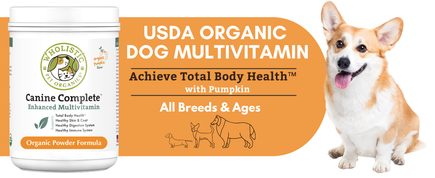 multivitamins for dogs with pumpkin powder for dogs organic dog multivitamin