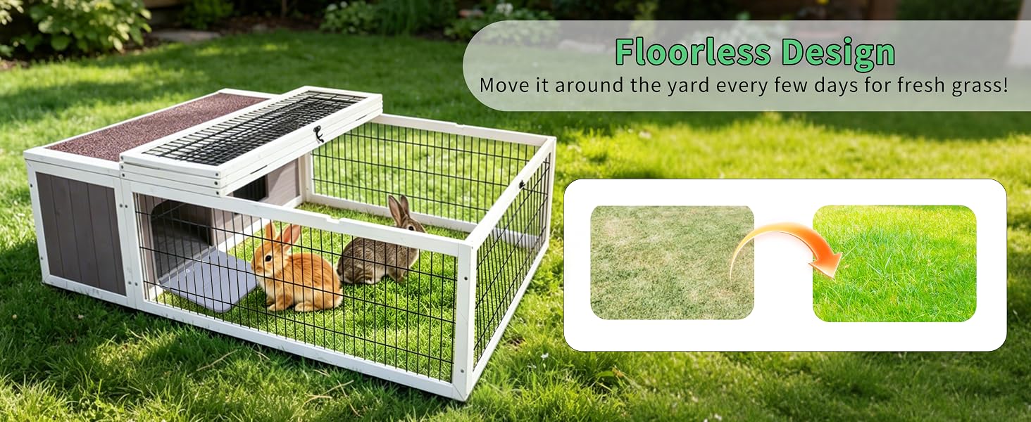 guinea pig cages