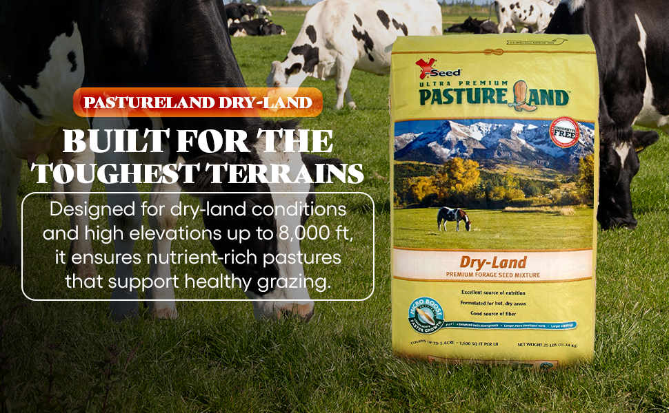 livestocks sed lifestock lan gress pasto alto tierra seguro nutricion segura mezcla grases pound