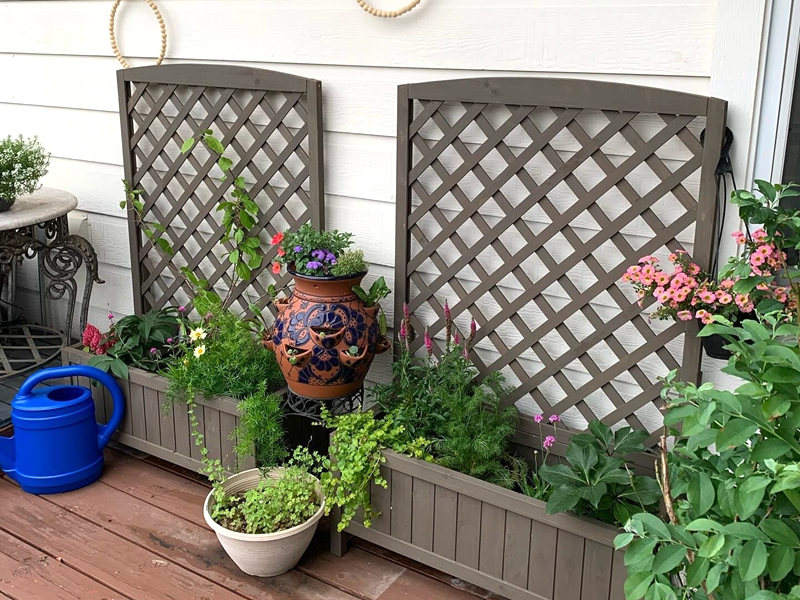 garden box