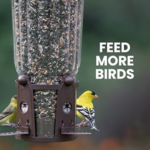 Perly-Pet Squirrel-Resistant Bird Feeder with Flexports allows you to feed more birds