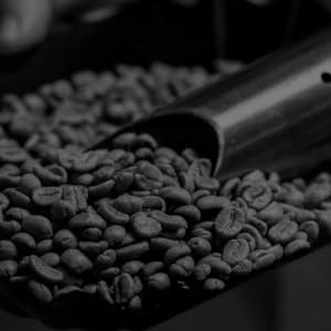 coffee bean