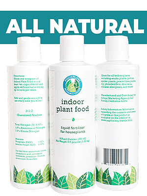 organic indoor plant fertilizer