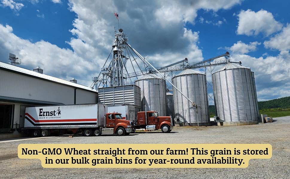 Ernst Grain &amp;amp; Livestock Bulk Grain Bins