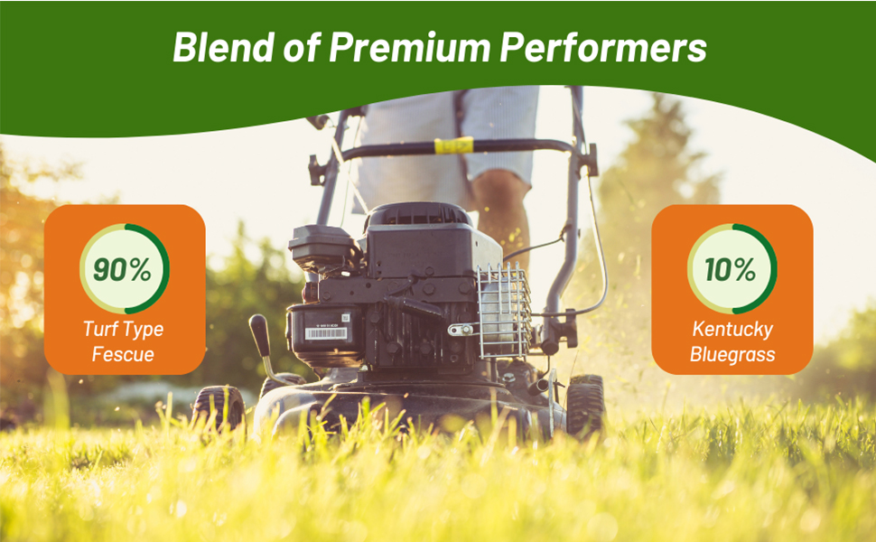 Combat Northern Grass Seed Mix Turf Type Fescue &amp;amp; Kentucky Bluegrass
