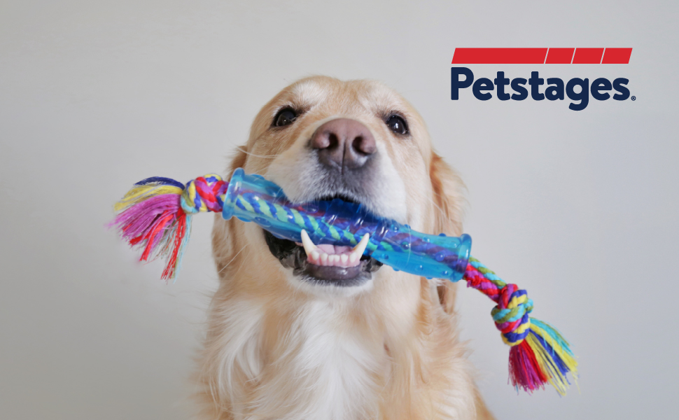 dog with Petstages alternative dog chew
