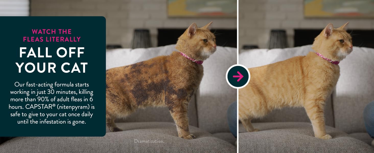 Watch fleas fall off your cat with Capstar